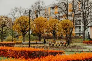 Budget-friendly guide to Riga